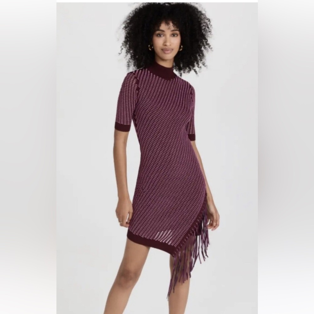Jonathan Simkhai Orla Burgundy Asymmetrical Fringe Dress